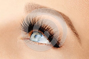 Female eye with extreme long false eyelashes and black liner. Eyelash extensions, make-up, cosmetics, beauty