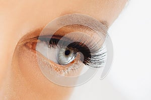 Female eye with extreme long false eyelashes. Eyelash extensions, make-up, cosmetics, beauty
