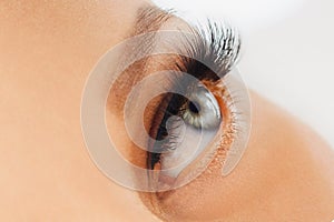 Female eye with extreme long false eyelashes. Eyelash extensions, make-up, cosmetics, beauty