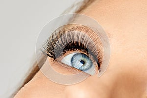 Female eye with extreme long false eyelashes. Eyelash extensions, make-up, cosmetics, beauty