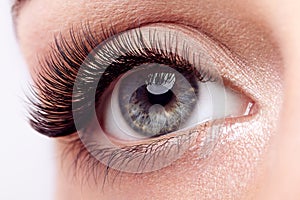 Female eye with long false eyelashes photo