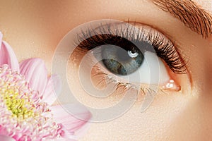 Female Eye with Extreme Long False Eyelashes. Eyelash Extensions. Makeup, Cosmetics, Beauty. Close up, Macro