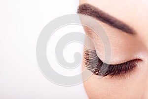 Female Eye with Extreme Long False Eyelashes