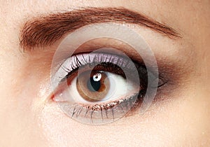 Female eye with eyelashes close up image. Eyebrows with brown woman eye.