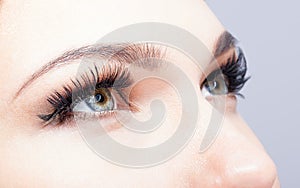 Female eye with long eyelashes