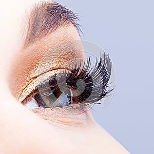 Female eye with long eyelashes