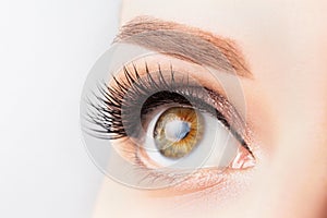 Female eye with long eyelashes, beautiful makeup and light brown eyebrow close-up. Eyelash extensions, lamination, microblading,