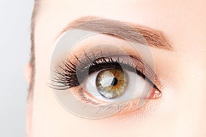 Female eye with long eyelashes, beautiful makeup and light brown eyebrow close-up. Eyelash extensions, lamination, microblading,