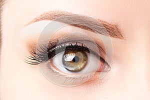 Female eye with long eyelashes, beautiful makeup and light brown eyebrow close-up. Eyelash extensions, lamination, microblading, photo