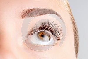 Female eye with long eyelashes. Classic 1D, 2D eyelash extensions and light brown eyebrow close up. Eyelash extensions, lamination photo