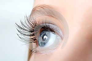 Female eye with long eyelashes photo