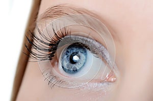 Female eye with long eyelashes close-up