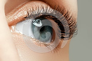 Female eye with long eyelashes close up. Closeup shot of female