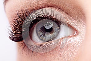 Female eye with long false eyelashes