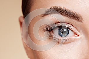 Female eye with long false eyelashes