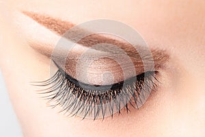 Female eye with long false eyelashes, beautiful makeup and light brown eyebrow