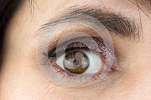 Female eye with lush eyelashes and makeup eyelids, close-up