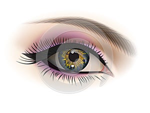 Female eye, vector