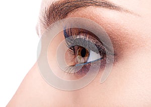 Female eye zone and brows with day makeup