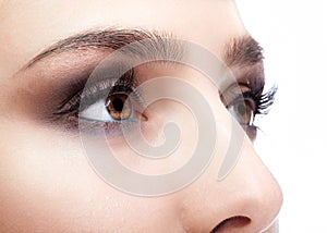 Female eye zone and brows with day makeup