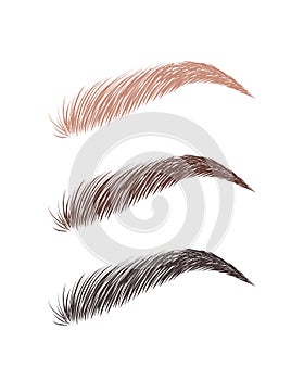 Female eyebrows in various colors. Blonde, brown and dark hair. Arch brows shapes. Linear vector Illustration in trendy