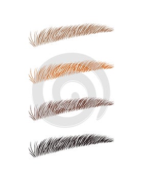 Female eyebrows in various colors. Blonde, red and dark hair. Sable style brows shapes. Linear vector Illustration in