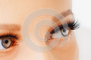 Female eyes with extreme long false eyelashes. Eyelash extensions, make-up, cosmetics, beauty