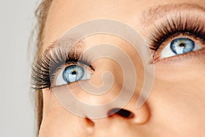Female eyes with extreme long false eyelashes. Eyelash extensions, make-up, cosmetics, beauty