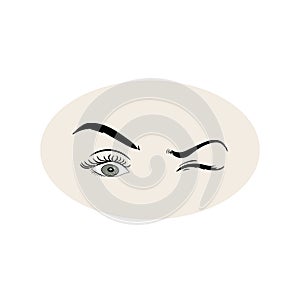 Female eyes icon with eye brows. Illustration of woman\'s sexy luxurious eye with perfectly shaped eyebrows