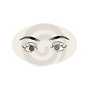 Female eyes icon with eye brows. Illustration of woman\'s sexy luxurious eye with perfectly shaped eyebrows