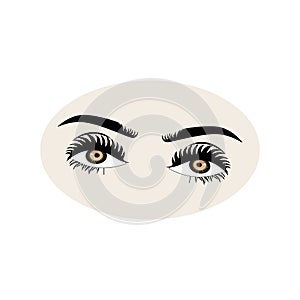 Female eyes icon with eye brows. Illustration of woman\'s sexy luxurious eye with perfectly shaped eyebrows