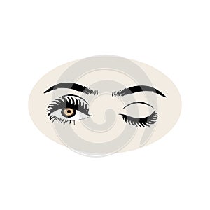 Female eyes icon with eye brows. Illustration of woman\'s sexy luxurious eye with perfectly shaped eyebrows
