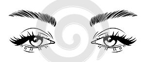 Female eyes with long eyelashes and eyebrows. Female languid look. Beauty logo, illustration