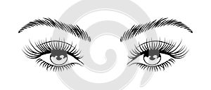Female eyes with long eyelashes and eyebrows. Female languid look. Beauty logo, illustration
