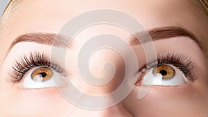 Female eyes with long false eyelashes. Classic 1D, 2D eyelash extensions and light brown eyebrow close up. Eyelash extensions,