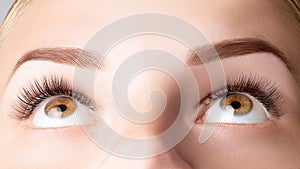 Female eyes with long false eyelashes. Classic 1D, 2D eyelash extensions and light brown eyebrow close up. Eyelash extensions, photo