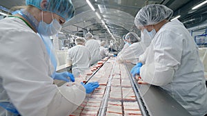 Female factory workers are relocating fish sticks. Factory Workers Assembling products.