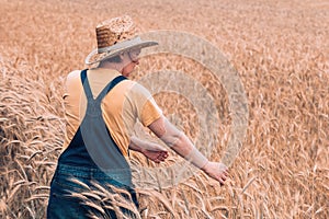 Female farm worker agronomist examining ripe barley crops