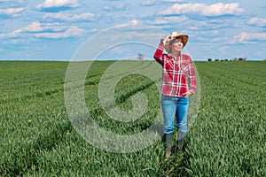 Female farmer agronomist standing in young green wheat field
