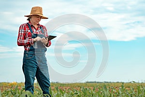 Female farmer agronomist using digital tablet computer in young green corn field photo