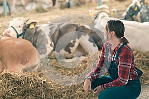 Female farmer on cow dairy farm