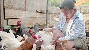 Female farmer feeding chickens from bio organic food in the farm chicken coop. Floor cage free chickens is trend of modern poultry