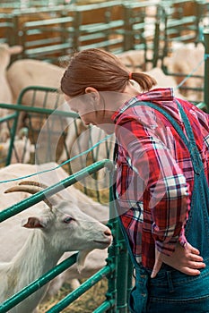 Female farmer at goat raising and breeding farm