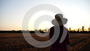 Female farmer going through the barley plantation at sunset. Young agronomist walking among wheat meadow at dusk