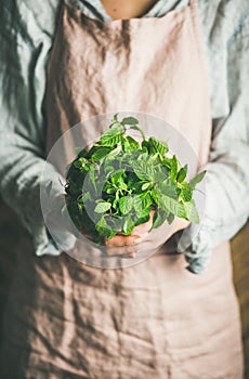 Female farmer holding bunch of fresh green mint, selective focus