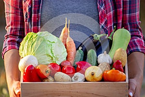 Female farmer holding a wooden box full of fresh raw vegetables. Basket with vegetables