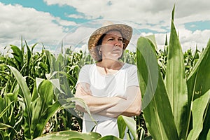 Female farmer looking at green corn maize crop field in summer