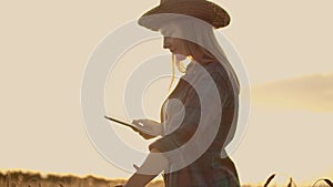 A female farmer in a plaid shirt with a tablet computer in her hands is walking across a wheat field at sunset, checking