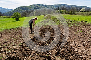 Female Farmer Planting Potatoes on a Sunny Spring Day