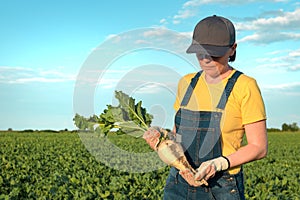 Female farmer posing in sugar beet field